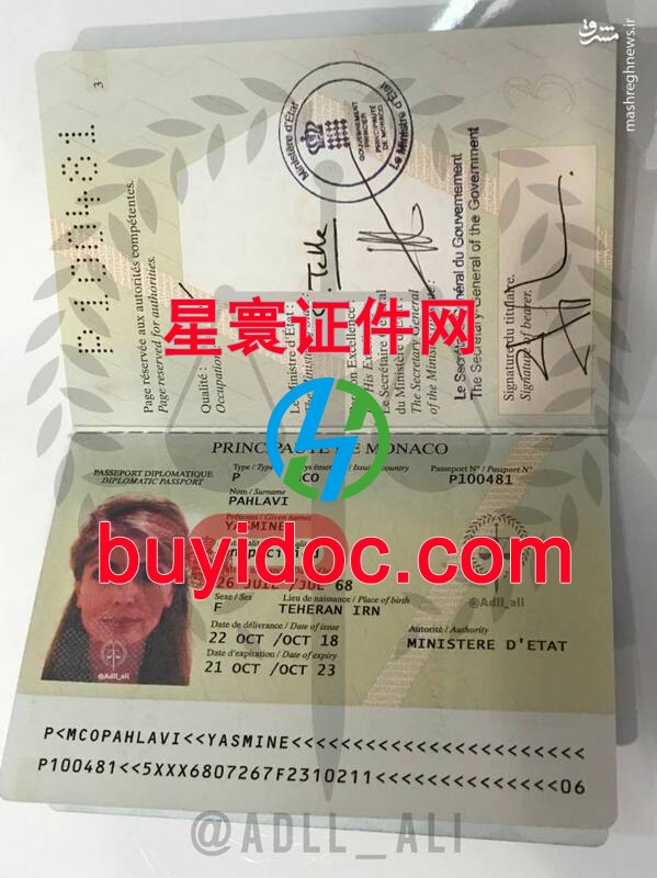 定制摩纳哥护照