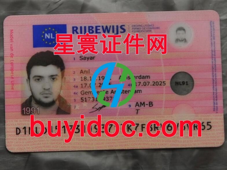 定制荷兰驾驶证