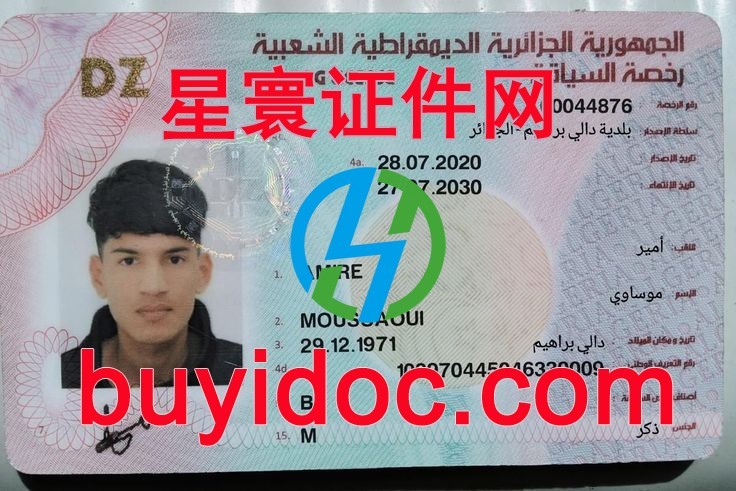 定制阿尔及利亚驾驶证