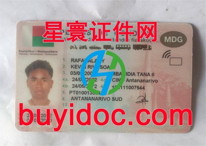 定制马达加斯加驾驶证